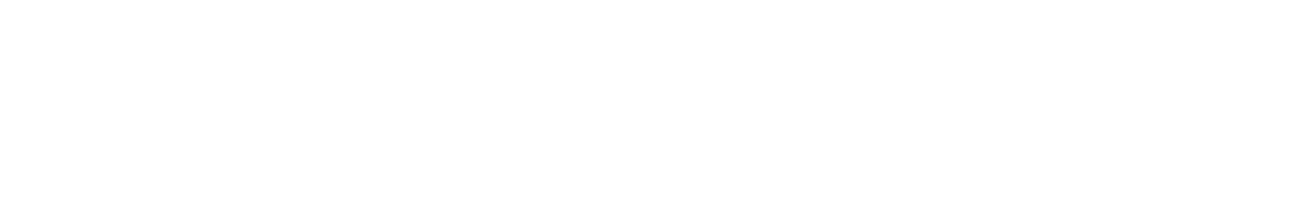 noumena_logo_white-1